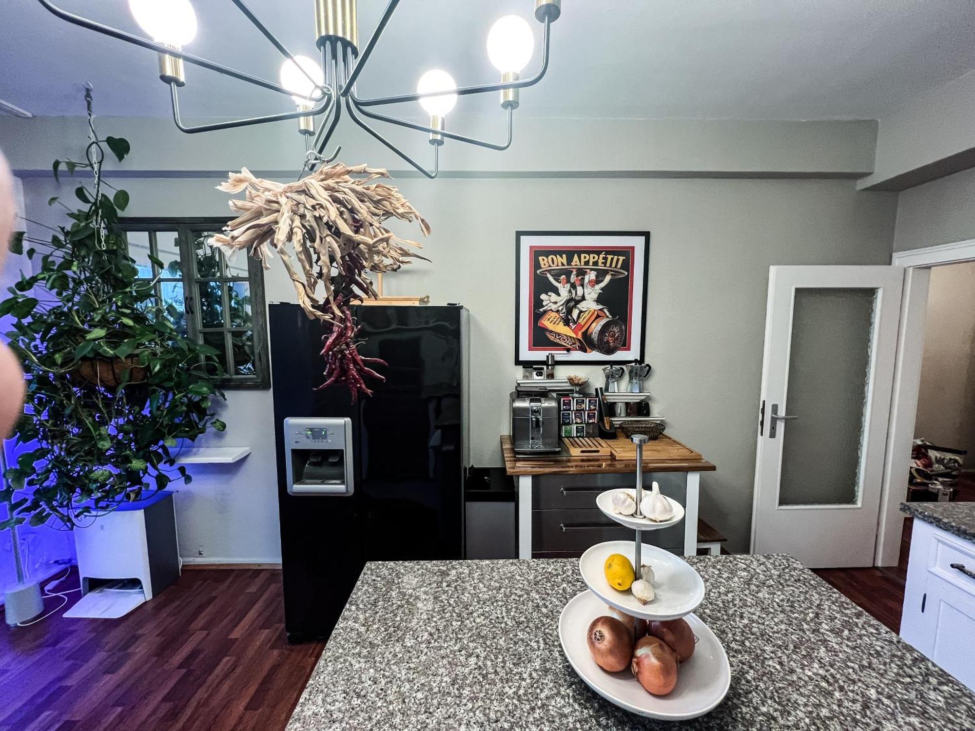 Big, Central And Charming Apartment On Schaafenstrasse ケルン エクステリア 写真
